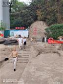 四川省,自贡市,荣县,来牟镇,踏紫村