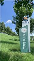 双李庄村 