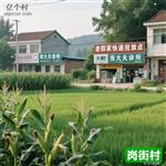 吉林省,吉林市,舒兰市,水曲柳镇,岗街村