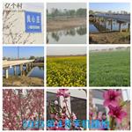 河北省,衡水市,冀州区,小寨乡,良心庄村