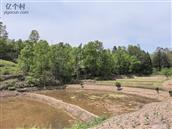 四川省,达州市,开江县,骑龙乡,六家坝村