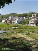 广东省,梅州市,梅县区,南口镇,铅畲村