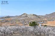 辽宁省,朝阳市,北票市,西官营镇,韩杖子村