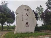 陕西省,渭南市,白水县,林皋镇,林皋村