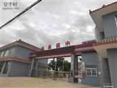 陕西省,渭南市,白水县,林皋镇,林皋村