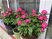 河北省,廊坊市,广阳区,万庄镇,墨其营村