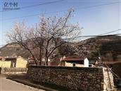 山西省,大同市,灵丘县,赵北乡,跃子沟村