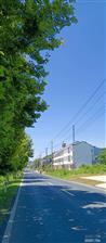 安徽省,池州市,东至县,昭潭镇,永丰村