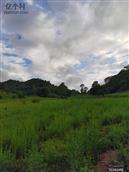 陕西省,宝鸡市,麟游县,酒房镇,麻夫村