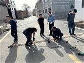 河南省,洛阳市,伊川县,水寨镇,银张村