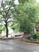 广东省,梅州市,兴宁市,径南镇,宝兴村