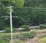 广东省,梅州市,兴宁市,径南镇,宝兴村