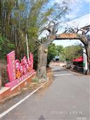 广东省,梅州市,兴宁市,径南镇,宝兴村