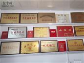 河北省,保定市,徐水区,大王店镇,东黑山村