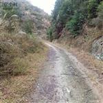 广西,柳州市,三江县,独峒乡,八协村
