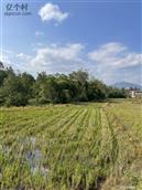 四川省,广安市,邻水县,龙安镇,天鹅村