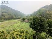广东省,云浮市,罗定市,黎少镇,赤岭村