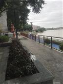 鸦湖村 