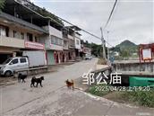 广东省,梅州市,兴宁市,径南镇,宝兴村