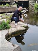 四川省,眉山市,丹棱县,顺龙乡,幸福村