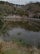 新春村 