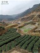 广西,柳州市,三江县,独峒乡,八协村