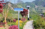 云南省,昭通市,威信县,长安镇,瓦石村