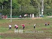 广东省,梅州市,兴宁市,径南镇,宝兴村