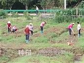 广东省,梅州市,兴宁市,径南镇,宝兴村