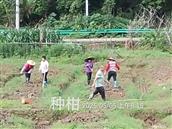 广东省,梅州市,兴宁市,径南镇,宝兴村
