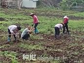 广东省,梅州市,兴宁市,径南镇,宝兴村