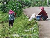 广东省,梅州市,兴宁市,径南镇,宝兴村