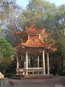 石厦村 