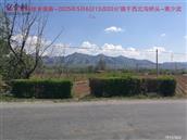 辽宁省,朝阳市,龙城区,半拉山街道,半拉山村