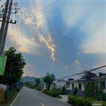 山东省,潍坊市,诸城市,桃林镇,草屋村