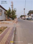 太平店村 