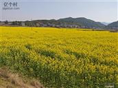 局里村 局里