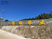 广东省,梅州市,蕉岭县,蓝坊镇,蓝坊村