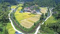 湖南省,怀化市,通道县,溪口镇,北麻村