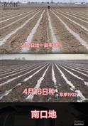 山西省,大同市,云州区,党留庄乡,党留庄村