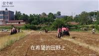 河北省,石家庄市,赞皇县,赞皇镇,北沟村