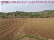 辽宁省,朝阳市,龙城区,半拉山街道,半拉山村