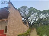 金井村 祠堂