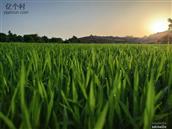 湖南省,常德市,临澧县,柏枝乡,众丰村