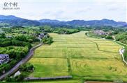 高峰村 