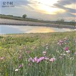 北京市,昌平区,沙河地区,于辛庄村