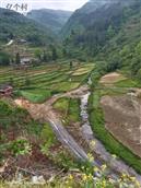 罗溪村 
