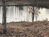 山东省,泰安市,肥城市,边院镇,雨前村