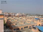 河南省,南阳市,新野县,上港乡,宅子村