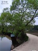 湖南省,常德市,临澧县,柏枝乡,众丰村